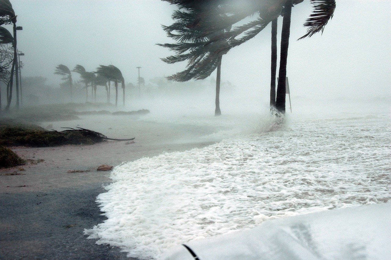 disaster preparedness for hurricane season