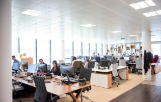 professional help with AI insights